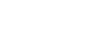 Andy & TJ Married Voice Actor Aetna