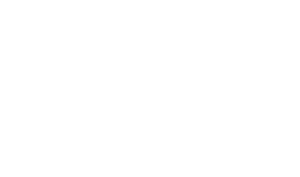 Andy & TJ Married Voice Actor Bluecross