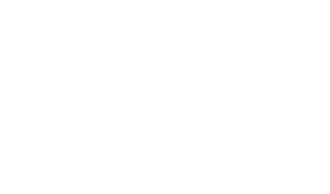 Andy & TJ Married Voice Actor Canadian