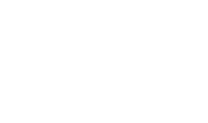 Andy & TJ Married Voice Actor Wells-fargo