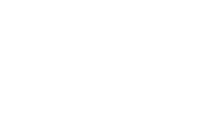 Andy & TJ Married Voice Actor Neuriva-logo